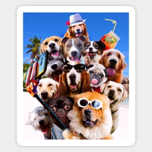 Dog Selfie Wearing Glasses Sticker